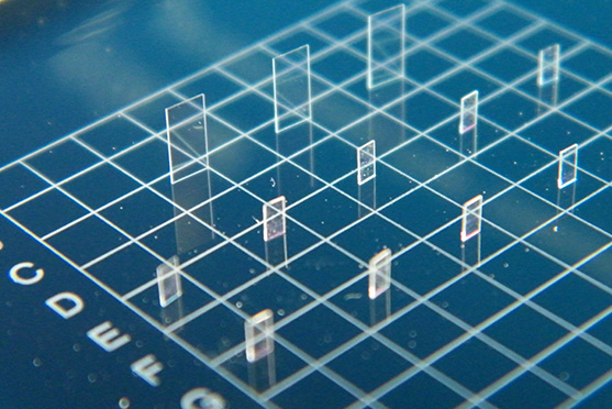 LN PMD compensation chip